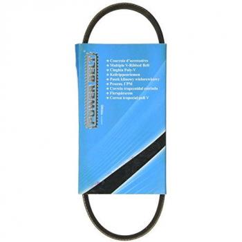 MAPCO 230515 V-Ribbed Belt