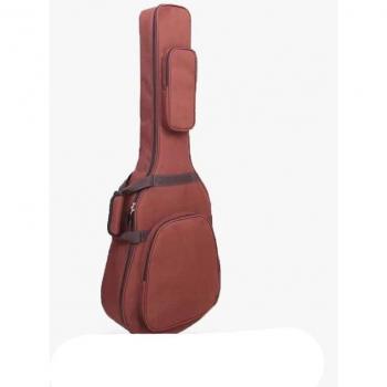 AquaShield Pro 2‑Tier Guitar Case
