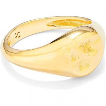 Anillo Essentials de Plata Dorada Secrecy