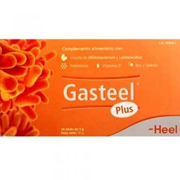 GASTEEL PLUS 10 PALITOS