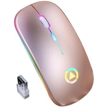 Ergonomic Wireless Mouse with RGB Backlight for PC and Laptop