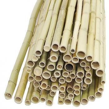 Aubry Gaspard - Canisse en bambou 1,5 x 1,8 m