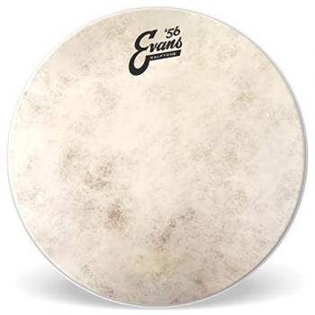 Evans TT10C7 Tom Batter / Snare Batter