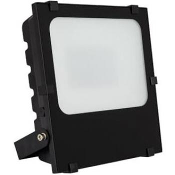 Foco Proyector LED 100W 145 lm/W IP65 HE Frost PRO Regulable