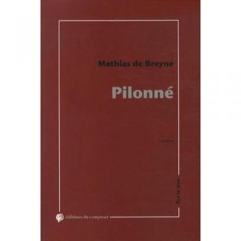 Breyne, Mathias de Pilonné : Essai Fictionnel Loudique, Ergocentrique Et Psychaologique: Roman