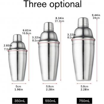 Ensemble de Barman 10 Pièces en Acier Inoxydable