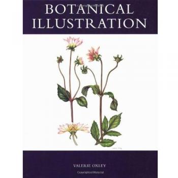 Valerie Oxley Botanical Illustration
