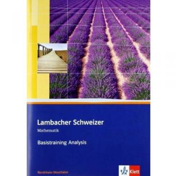 Basistraining Analysis 11. und 12. Schuljahr - Qualifikationsphase | KLETT | Buch