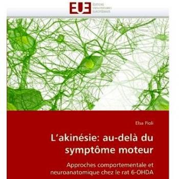 L’akinésie: au-delà du symptôme moteur: Approches comportementale et neuroanatomique chez le rat 6-OHDA