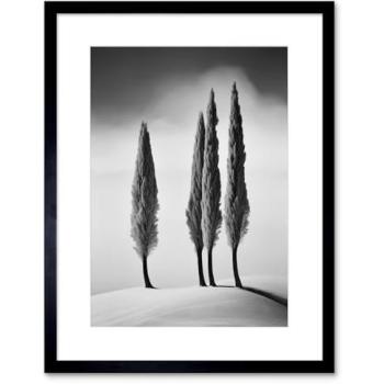 Winter Whisper: Cypress Hill Print