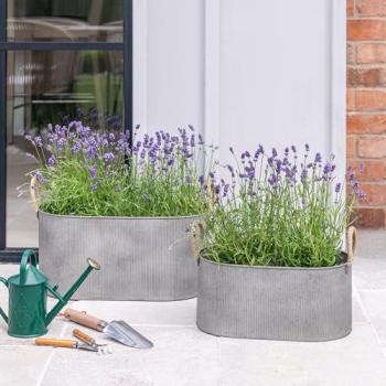 Ivyline Dual Rope-Handled Silver Troughs