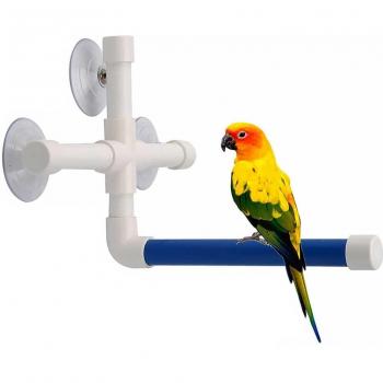 Bird Bath Stand for Parrots