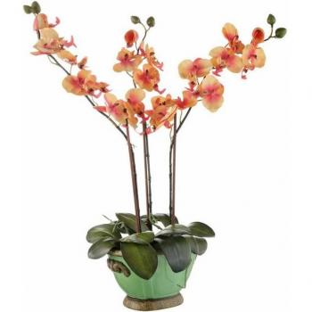 I.GE.A. Kunstpflanze Phalaenopsis, orange, 60 cm