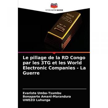 Le pillage de la RD Congo par les 3TG et les World Electronic Companies - La Guerre
