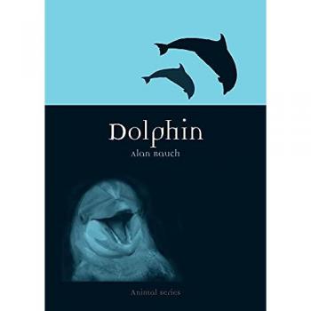 Alan Rauch Dolphin