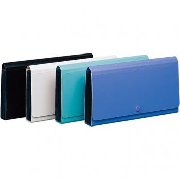 Comix 13-Pocket Expandable File
