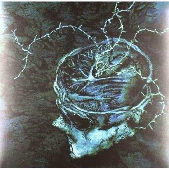 Instinct Decay