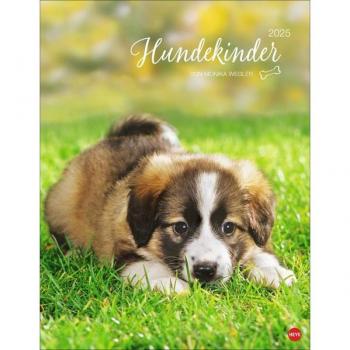 Heye Hundekinder Posterkalender 2025