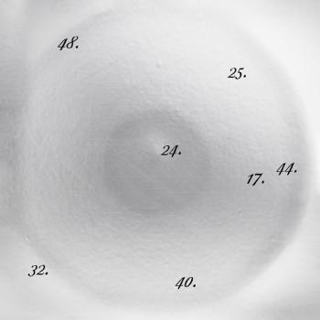 Discipline Through Sound 25 - Album Musicale di Modulor Records