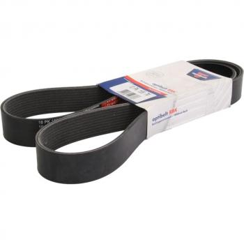 Correa poli V OPTIBELT 10PK1556