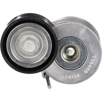 GATES Cinghia Poly-V Rullo Tendicinghia T38458
