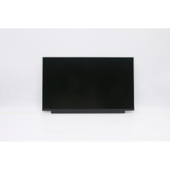 LENOVO - Thor Display 15.6'' HD TN 220nit 45% CG Non-brac