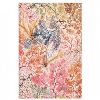 12-Monatskalender 2025 Anemone Midi Horizontal