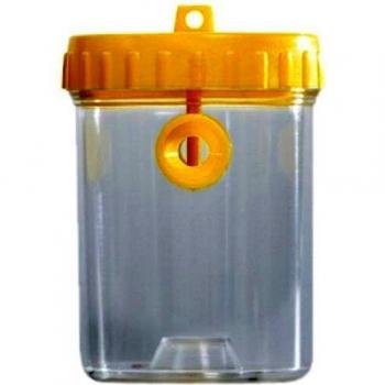 Trappola per Vespe Windhager Duo