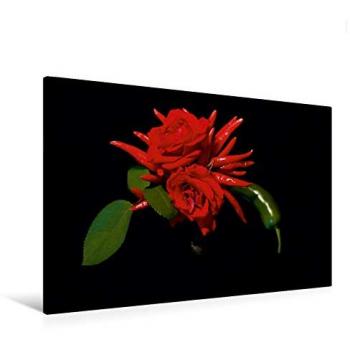 Stinging Bouquet Leinwanddruck 120 × 80 cm – Hochwertige Textil-Poster
