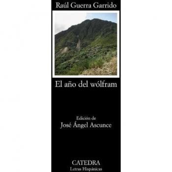 El año del Wólfram