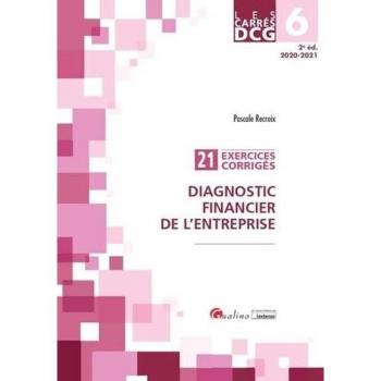Diagnostic Financier De L'entreprise Dcg 6 - 21 Exercices Corrigés