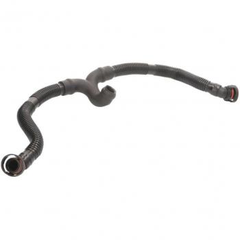 Tubo flessibile di ventilazione coperchio testata cilindri VAICO V10-3696