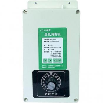 2000mg/h Ozone Generator for Food and Vegetable Sterilization