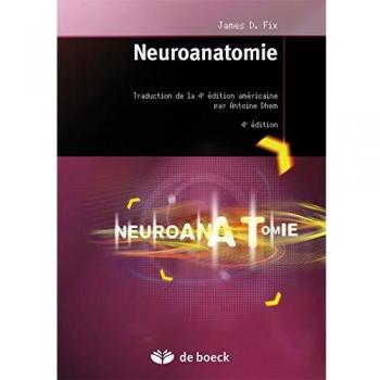 Neuroanatomie