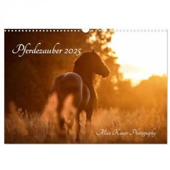 Pferdezauber 2025 (Wandkalender 2025 DIN A3 quer) CALVENDO Monatskalender