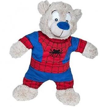 Spiderbear PJ's Teddy Bear Outfit