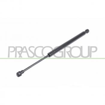 Amortiguador de maletero PRASCO BM0189055 con soporte