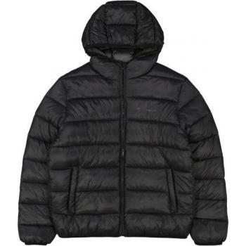 Steppjacke CHAMPION Hooded Jacket in Schwarz