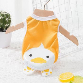 Ropa elegante para perros pequeños