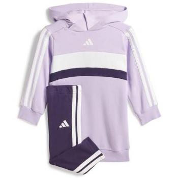 Purple Essentials Tiberio Infant Hoodie & Leggings Set for Girls