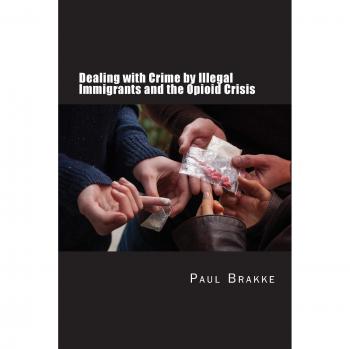 Dealing with Crime by Illegal Immigrants and the Opioid Crisis: What to Do about the Two Big Social and Criminal Justice Issues of Today (Sefa Bilinguale Bilderbücher)