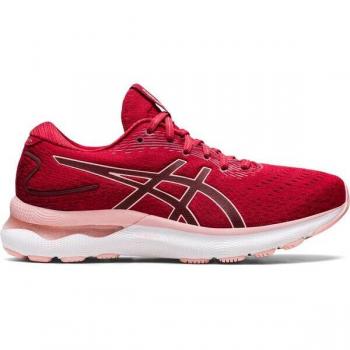 Asics Gel Nimbus 24 Pro Rendimiento