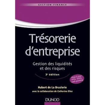 Trésorerie d'entreprise : gestion des liquidités et des risques