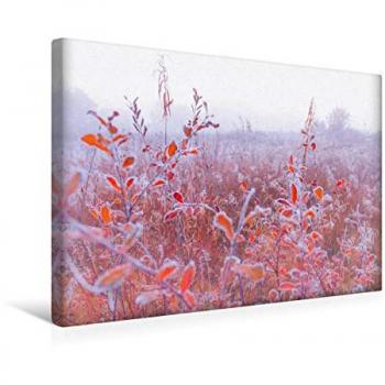 Raureif-Moor Panorama 45x30 cm – Calvendo Textil-Leinwand