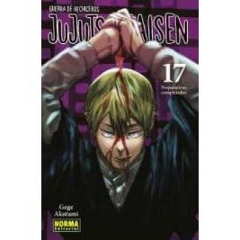 JUJUTSU KAISEN 17 (NE)