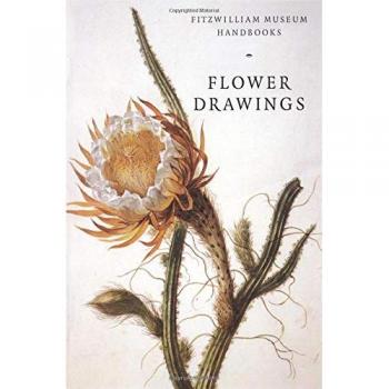 Flower Drawings