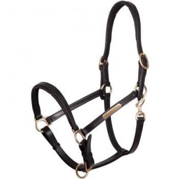 Licol en cuir pour Shetland - Noir