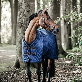 Kentucky 0g Stable Blanket