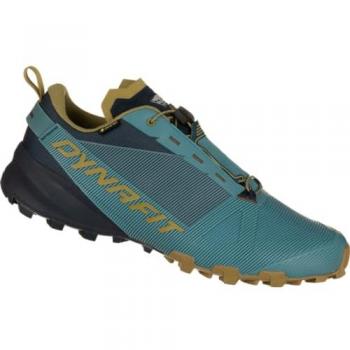 Dynafit Herren Speedhikingschuhe Traverse GTX M blau