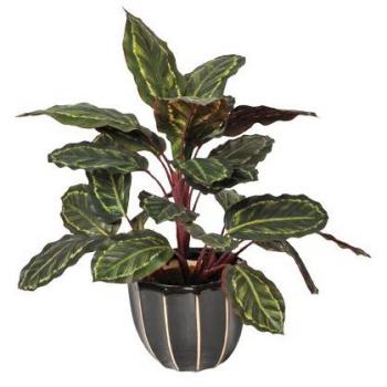 PLANTA ARTIFICIAL CALATEA CEBRA 49 CM